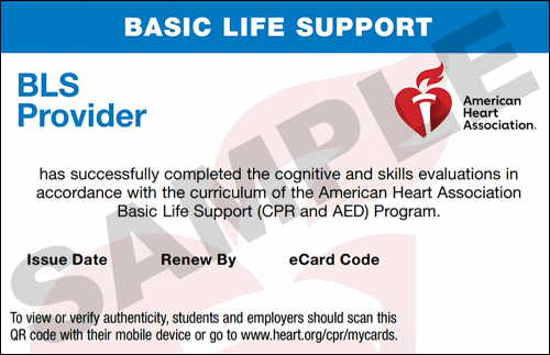 CPR Classes NYC AHA BLS CPR CPR Certification NYC