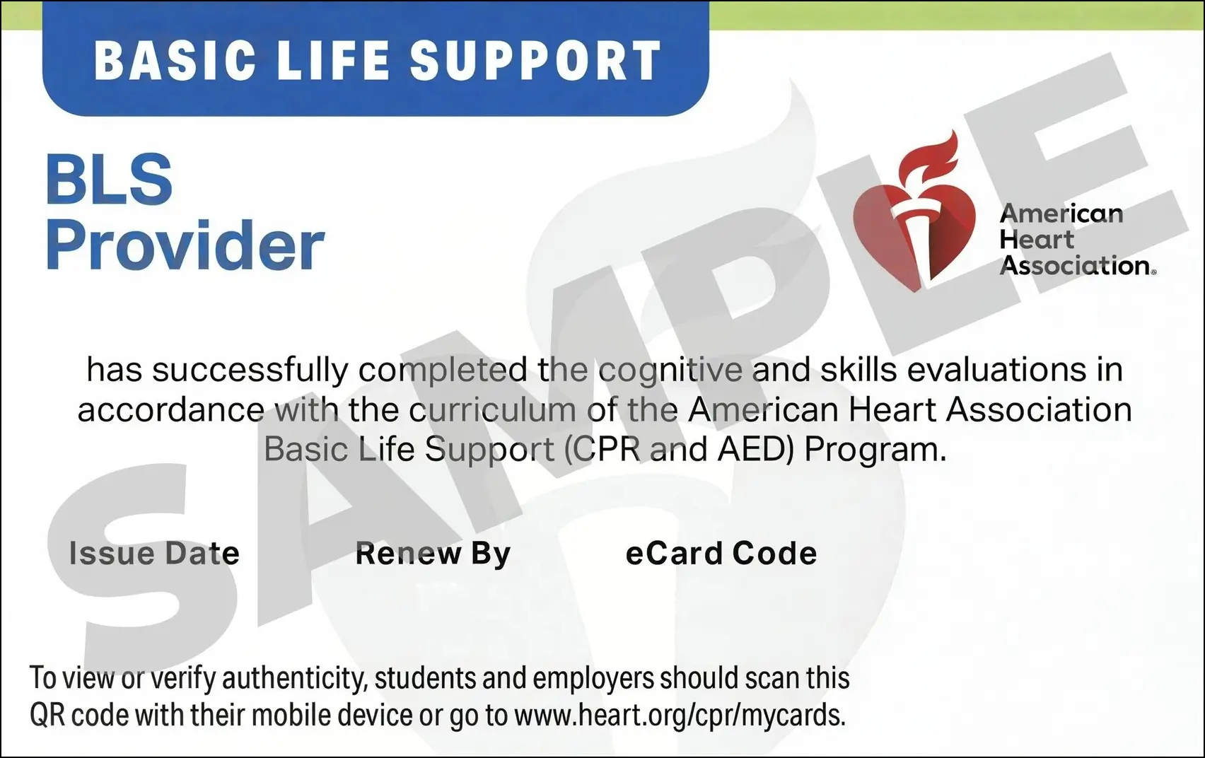 Sample American Heart Association AHA BLS CPR Card Certification from CPR Certification NYC
